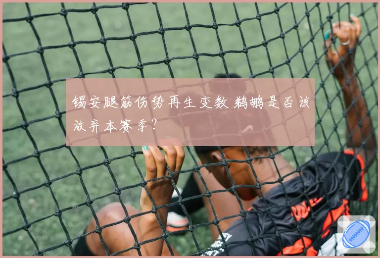 锡安腿筋伤势再生变数 鹈鹕是否该放弃本赛季？