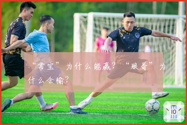 “常宝”为什么能赢?“狼哥”为什么会输?