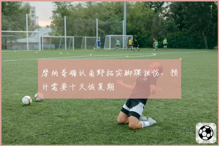 摩纳哥确认南野拓实脚踝扭伤，预计需要十天恢复期