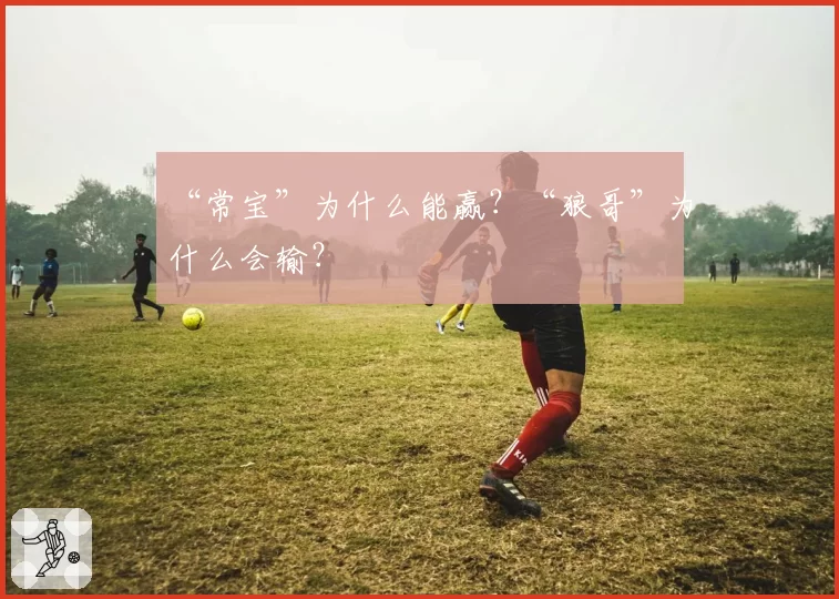 “常宝”为什么能赢?“狼哥”为什么会输?