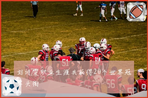 刘诗雯职业生涯共获得20个世界冠军头衔