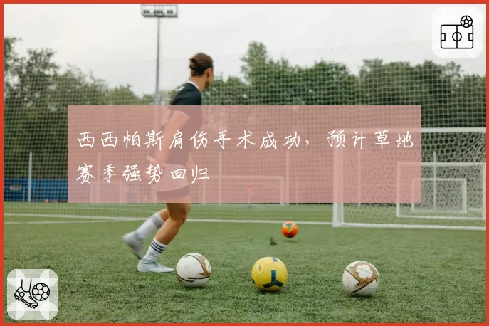 西西帕斯肩伤手术成功，预计草地赛季强势回归