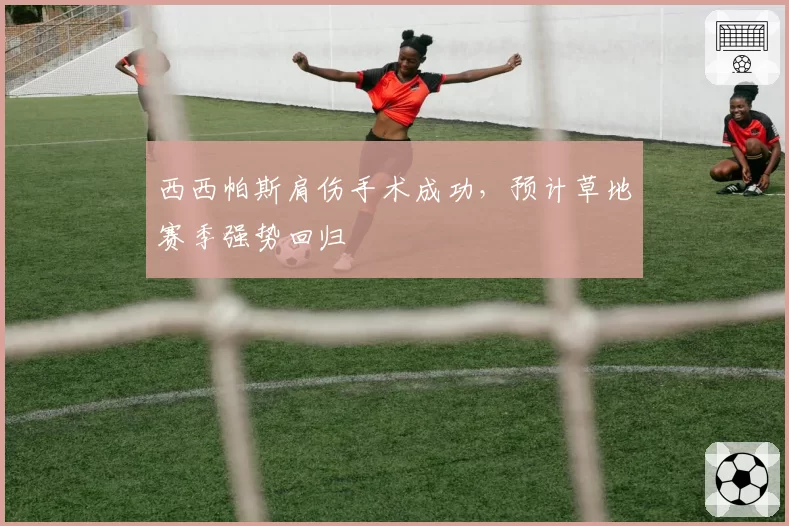 西西帕斯肩伤手术成功，预计草地赛季强势回归